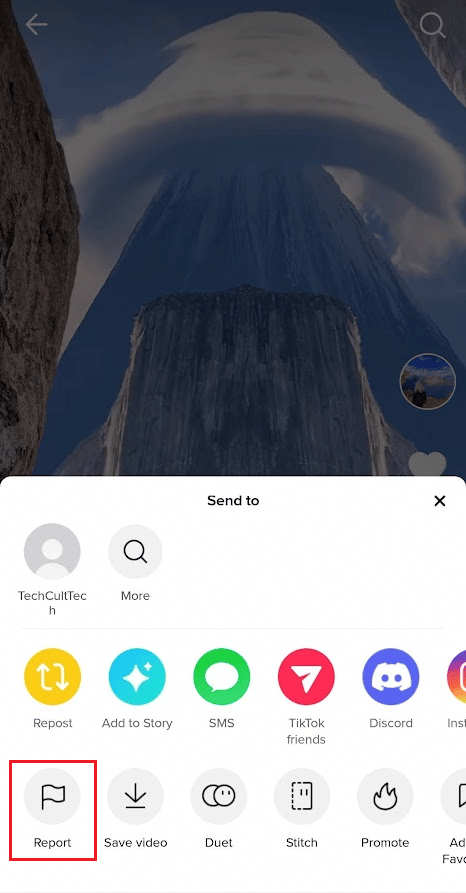 Toque Informe |  ser expulsado permanentemente de TikTok