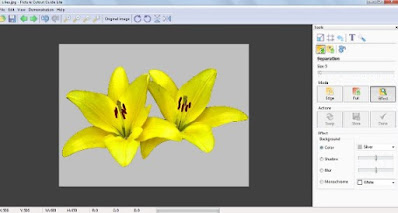 Guía de recorte de imagen