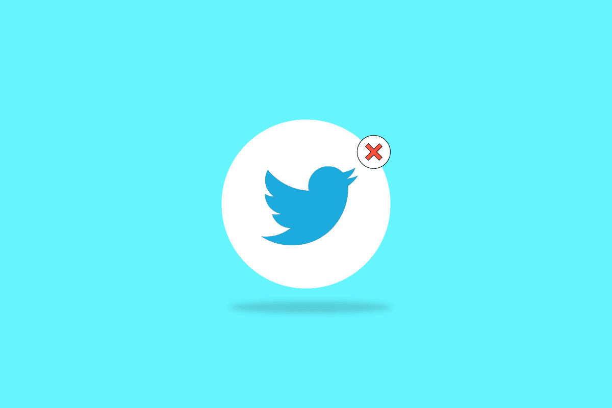 ¿Twitter elimina las cuentas inactivas?