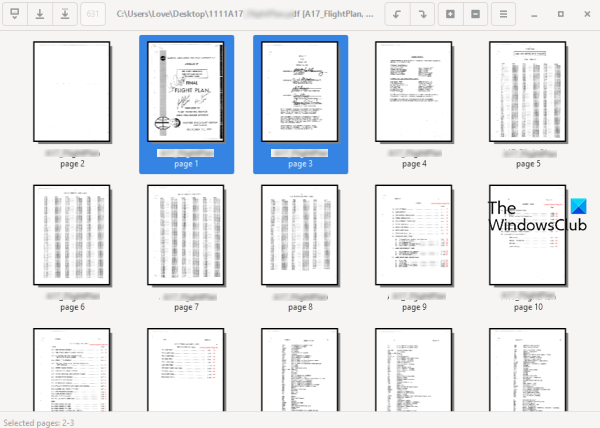 Organizador de PDF
