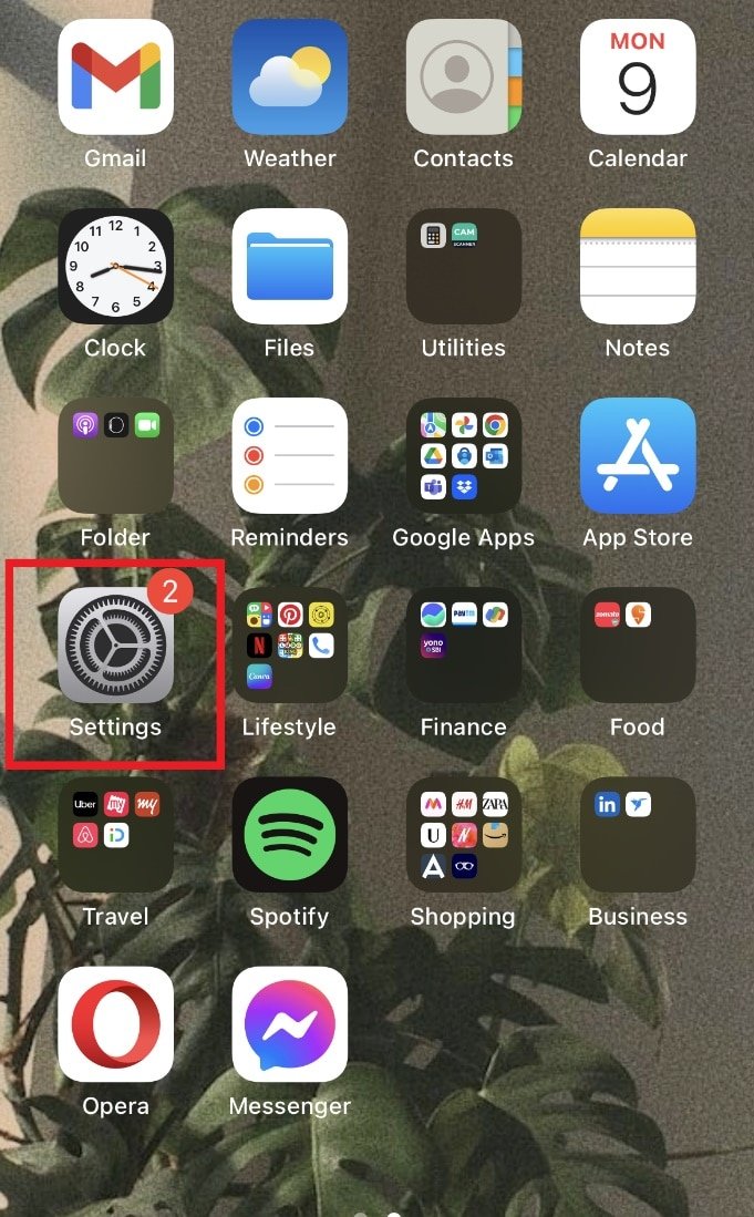 Abra Configuración en su iPhone |  cambie la cuenta de su hijo a una cuenta de padres en PS4
