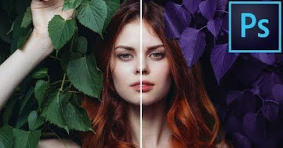 Mejorar los colores de la foto