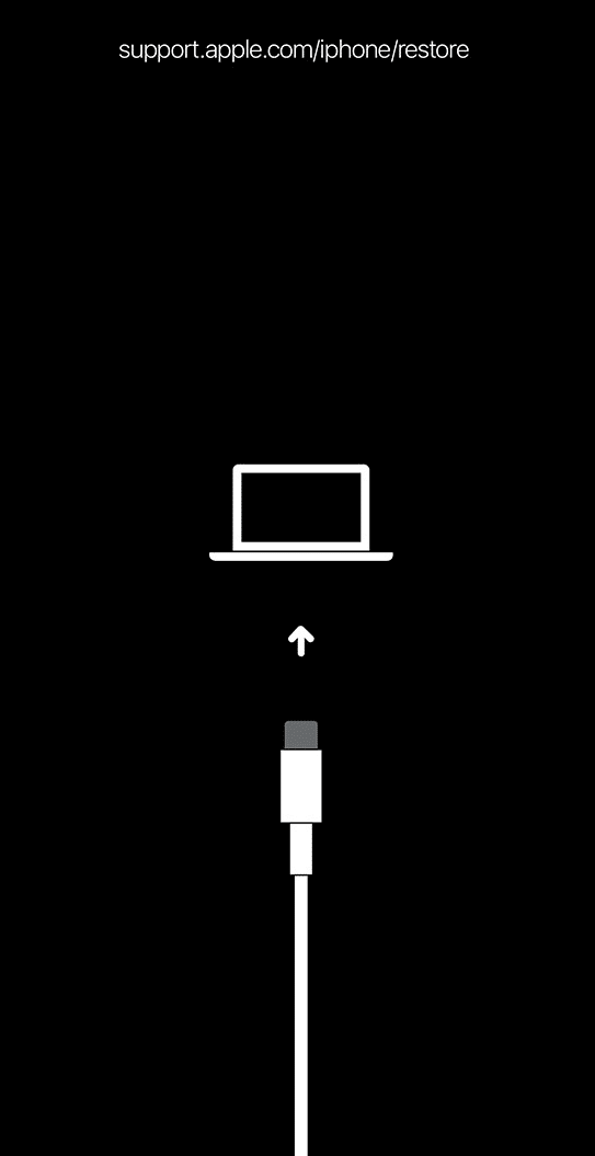 iPhone Restaurar pantalla