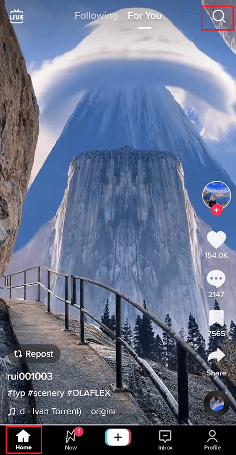 Toque el ícono de búsqueda en la esquina superior derecha de la pestaña Inicio |  encontrar la cuenta secreta de TikTok de alguien