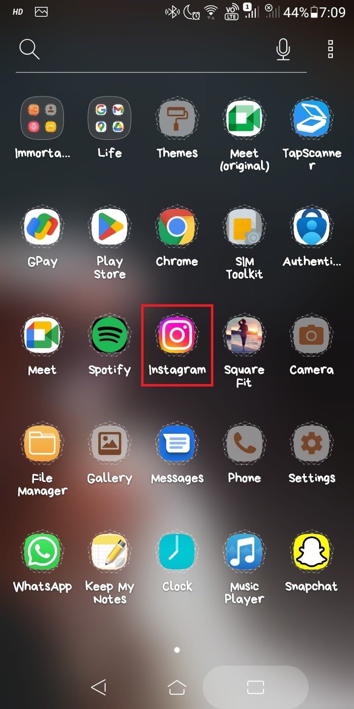Inicie Instagram desde su teléfono móvil. 