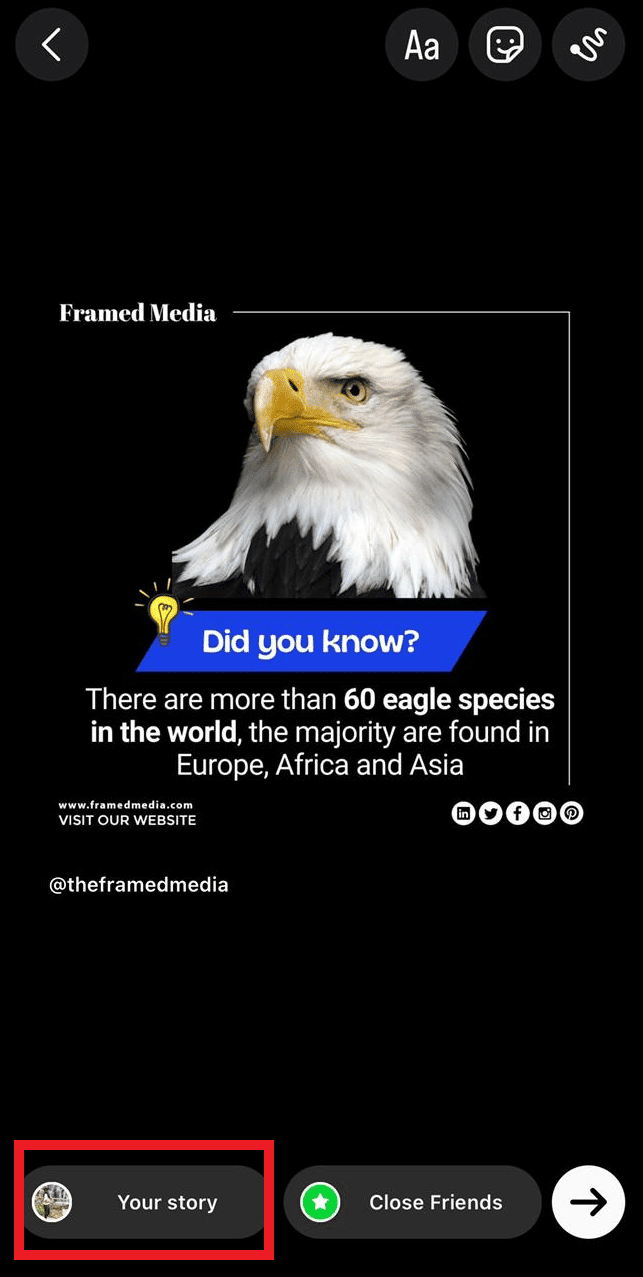 Serás llevado directamente a la página de tu historia.  Toca Tu historia para agregar la publicación a tu historia.