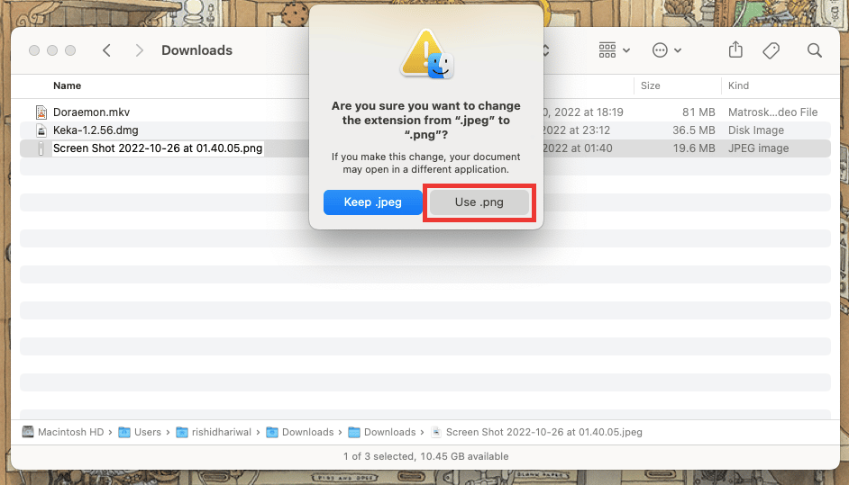 Confirme haciendo clic en Usar formato .xyz