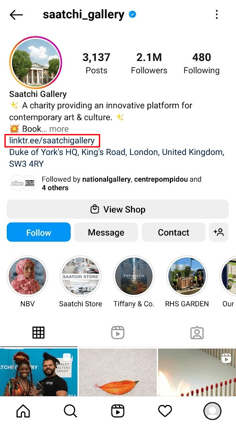 Enlace de Linktree dado en la biografía del perfil de IG |  Cómo obtener o encontrar el número de teléfono de alguien de la cuenta de Instagram