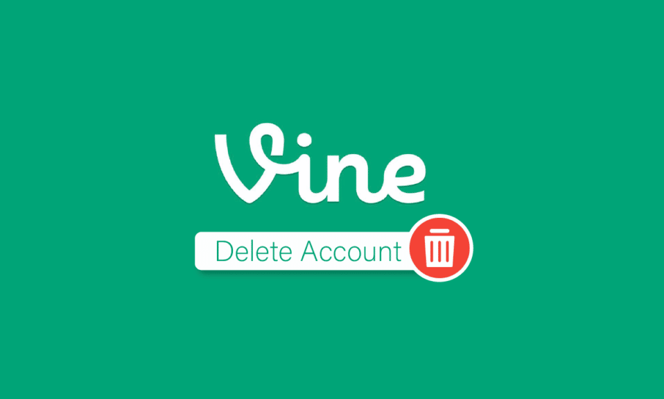 Cómo eliminar una cuenta de Vine