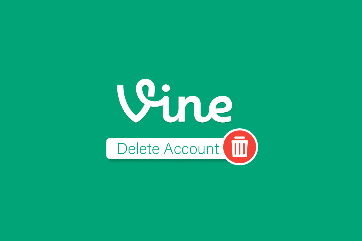 Cómo eliminar una cuenta de Vine