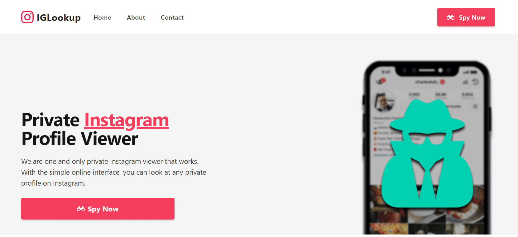 IGBuscar | ver fotos de cuentas privadas en Instagram