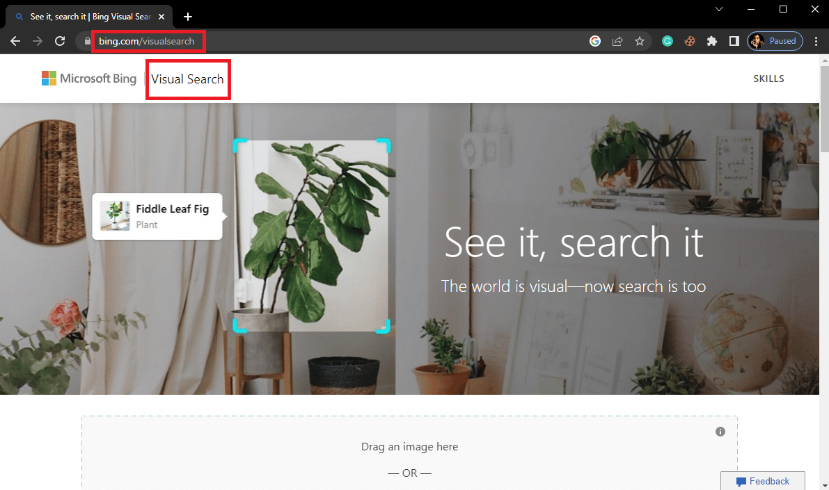 Abra su navegador web y visite Bing Visual Search