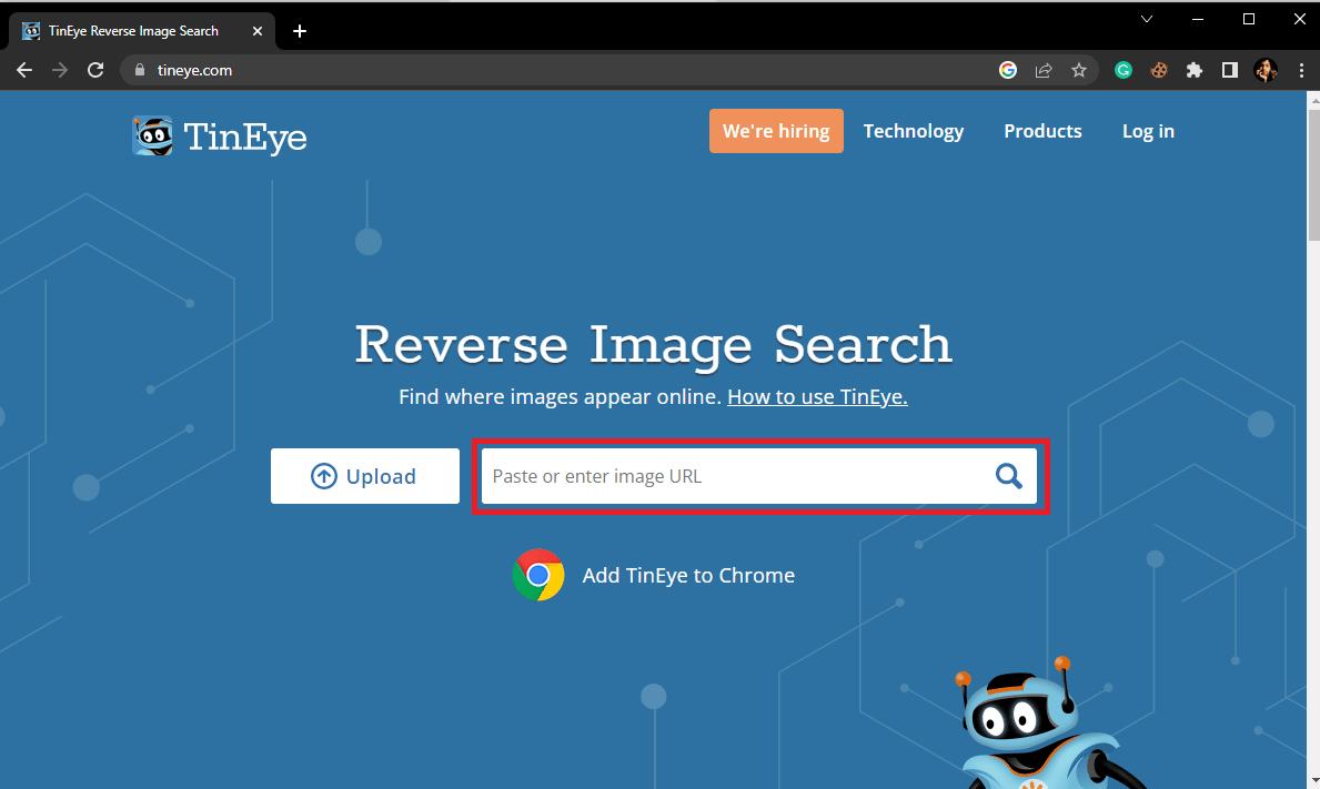 También puede copiar y pegar la URL de la imagen en el cuadro de texto Pegar o ingresar la URL de la imagen para buscar una imagen.