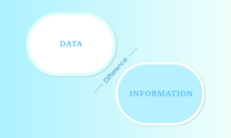 ¿Cuál es la diferencia entre los ejemplos de datos e información