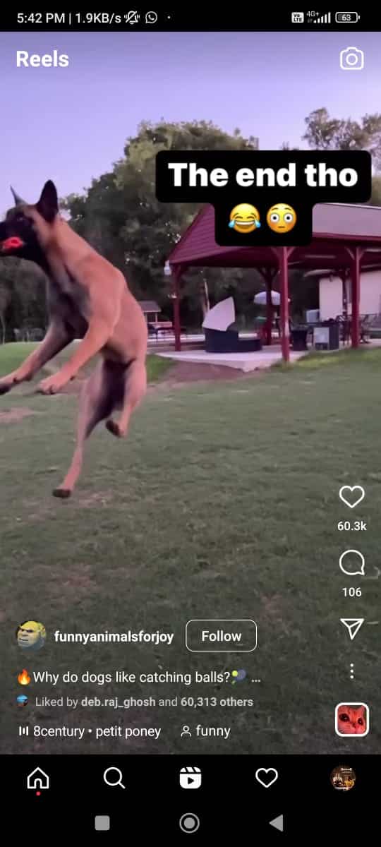 Carrete de instagram con musica