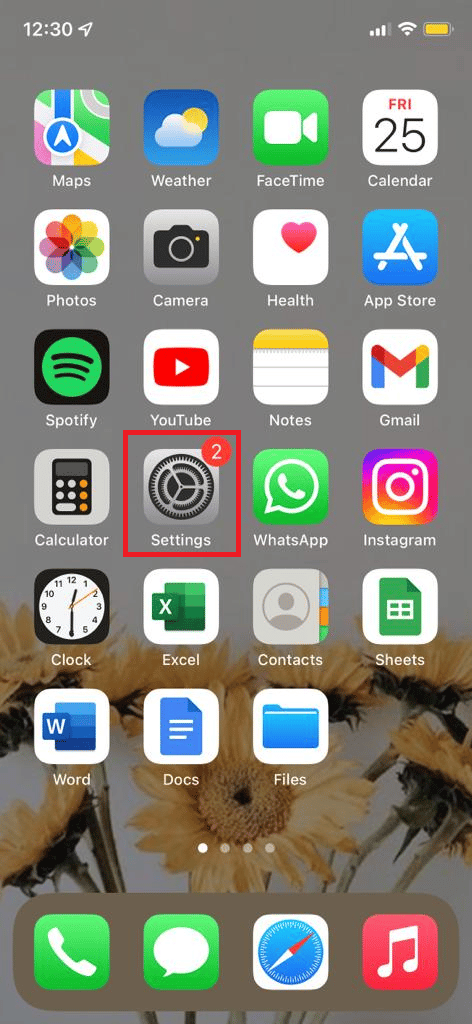 opción de configuración en iphone. 10 formas de arreglar Powerbeats Pro que no se cargan