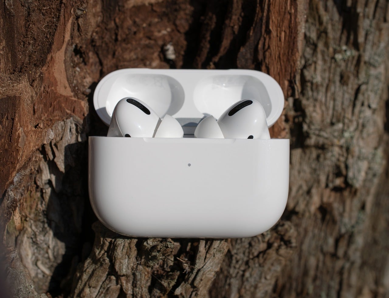 coloca los auriculares