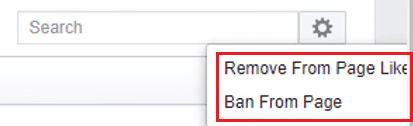 Haga clic en Eliminar de la página Me gusta o Prohibir de la página