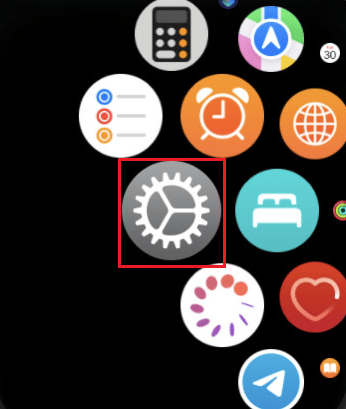 Toque la aplicación Configuración en su Apple Watch