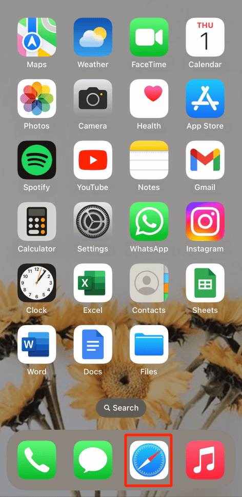 abre la aplicación Safari en tu iPhone
