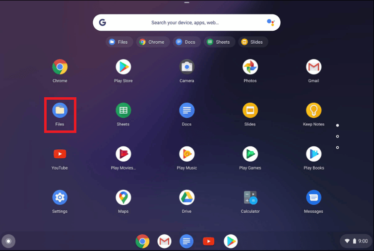 opción de archivo mostrada en Chromebook |  Cómo eliminar imágenes en Chromebook de solo lectura