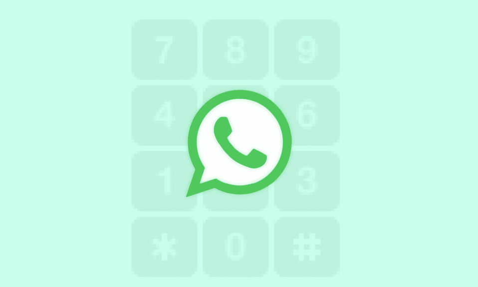 ¿Te da WhatsApp tu número de teléfono?