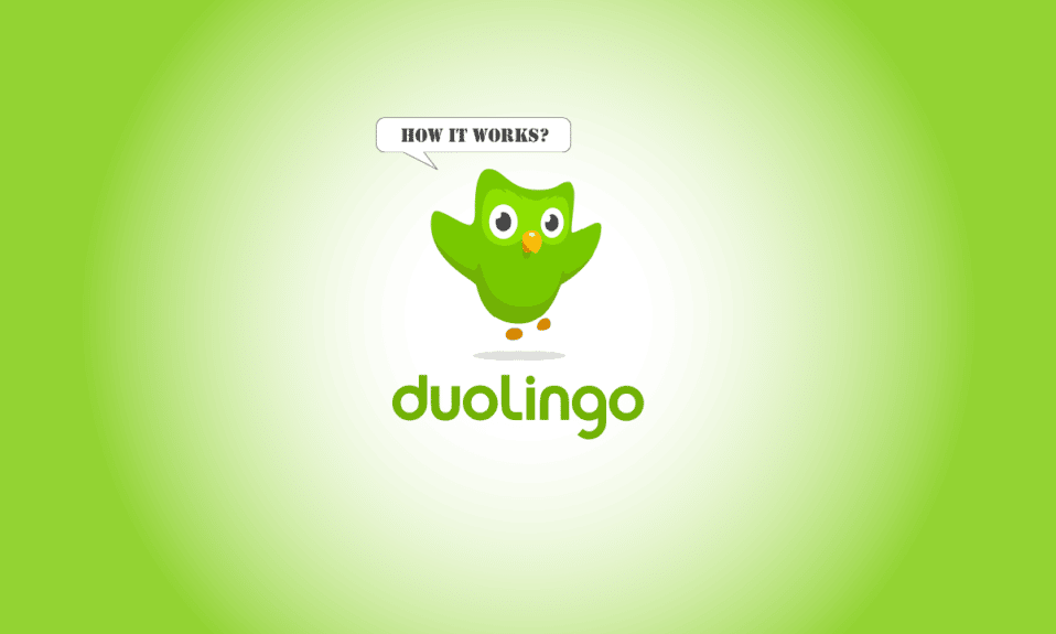 ¿Qué es Duolingo y cómo funciona Duolingo? Consejos y trucos