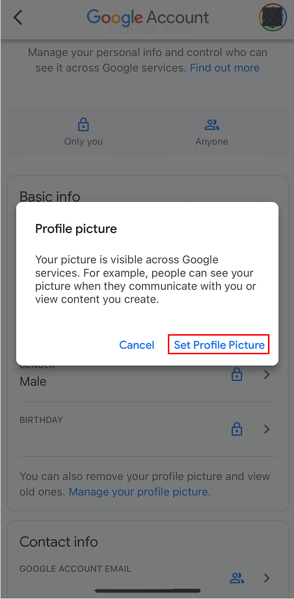 Cómo eliminar la imagen de perfil de Google o Gmail |  ¿Cómo puedes cambiar el avatar del mezclador?