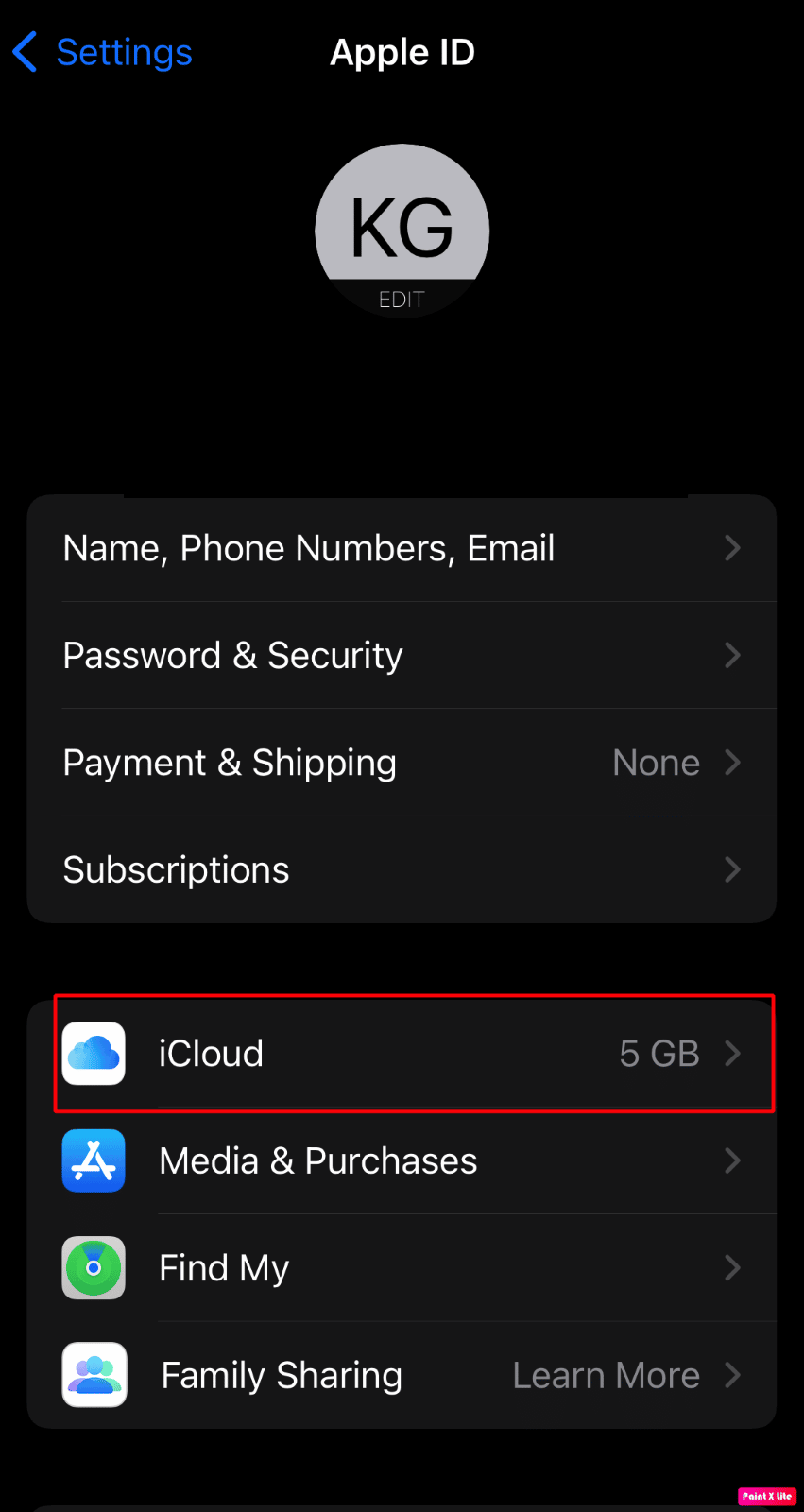 haga clic en el icono de icloud |  Cómo arreglar todos los nombres de contactos desaparecidos en iPhone