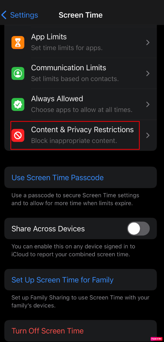 elige las restricciones de contenido y privacidad. Arreglar el error de compra de iPhone en la aplicación no es compatible