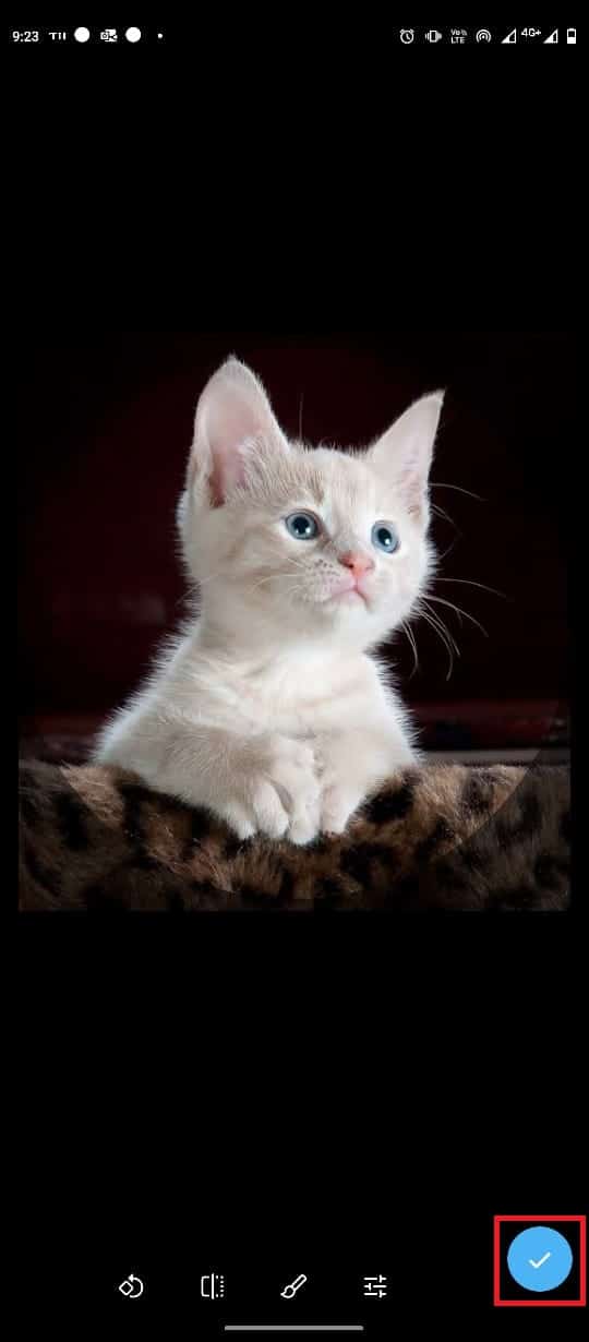 toque el icono de signo de verificación.  Cómo agregar, cambiar y eliminar la imagen de perfil de Telegram