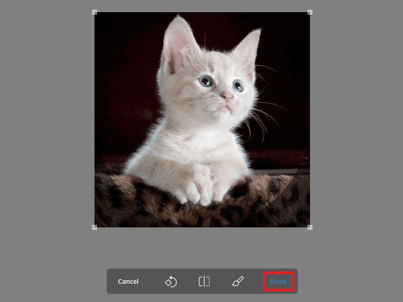 haga clic en Listo para configurar su nueva imagen de perfil 