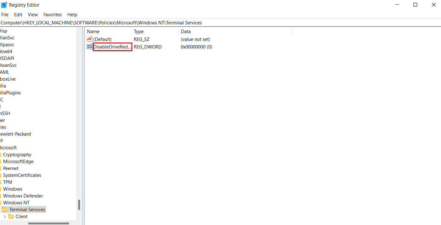 Renómbrelo como DisableDriveRedirection 
