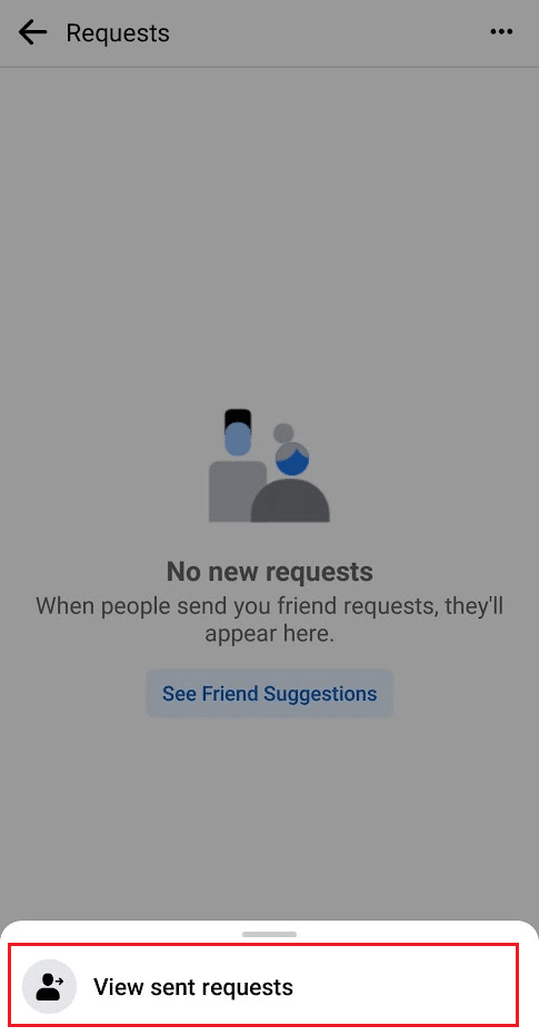 toca Ver solicitudes enviadas