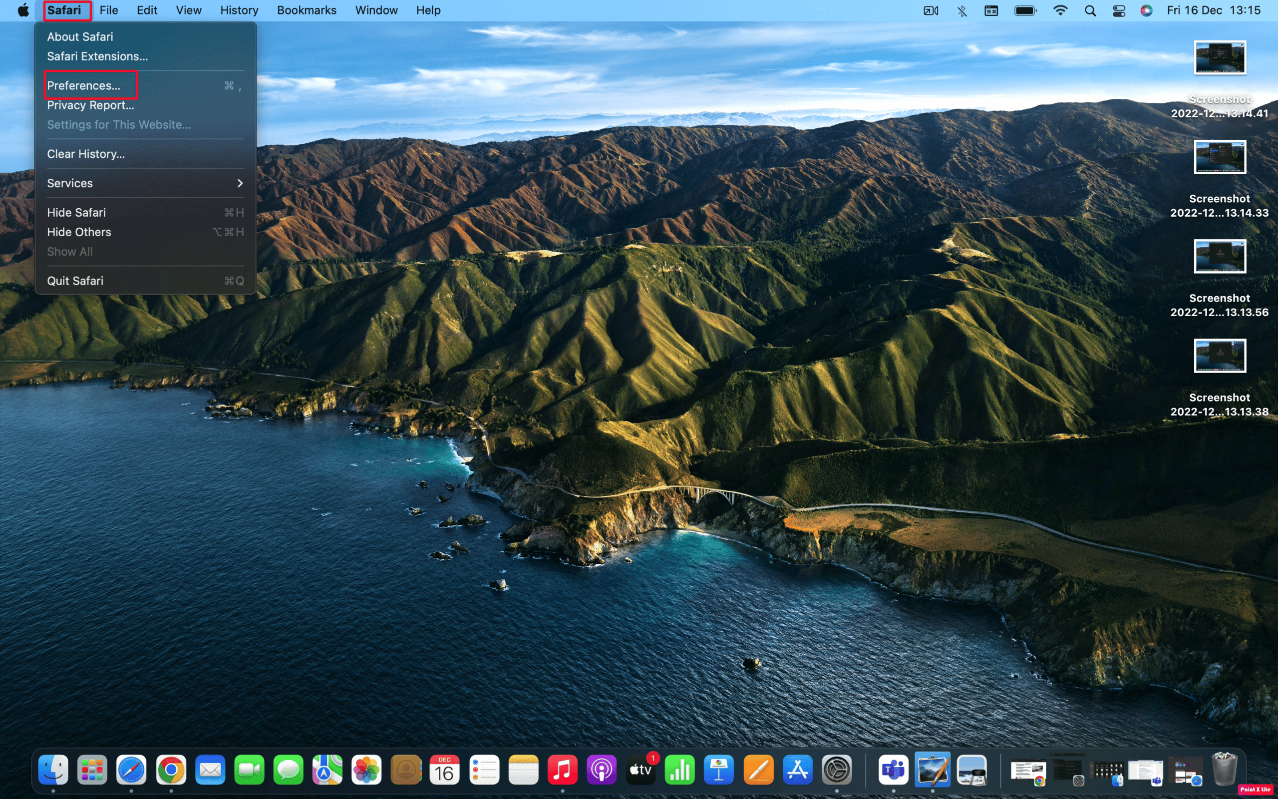 haga clic en preferencias
