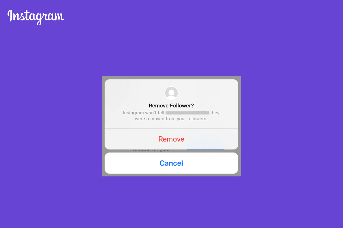 Qué sucede cuando eliminas un seguidor en Instagram