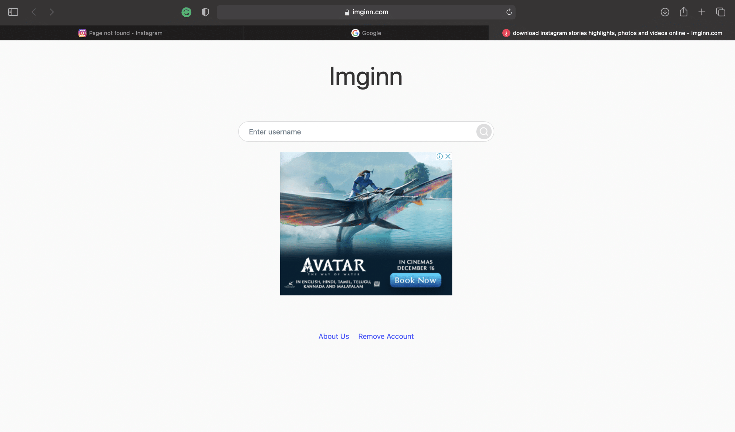 Sitio web de Imginn | 