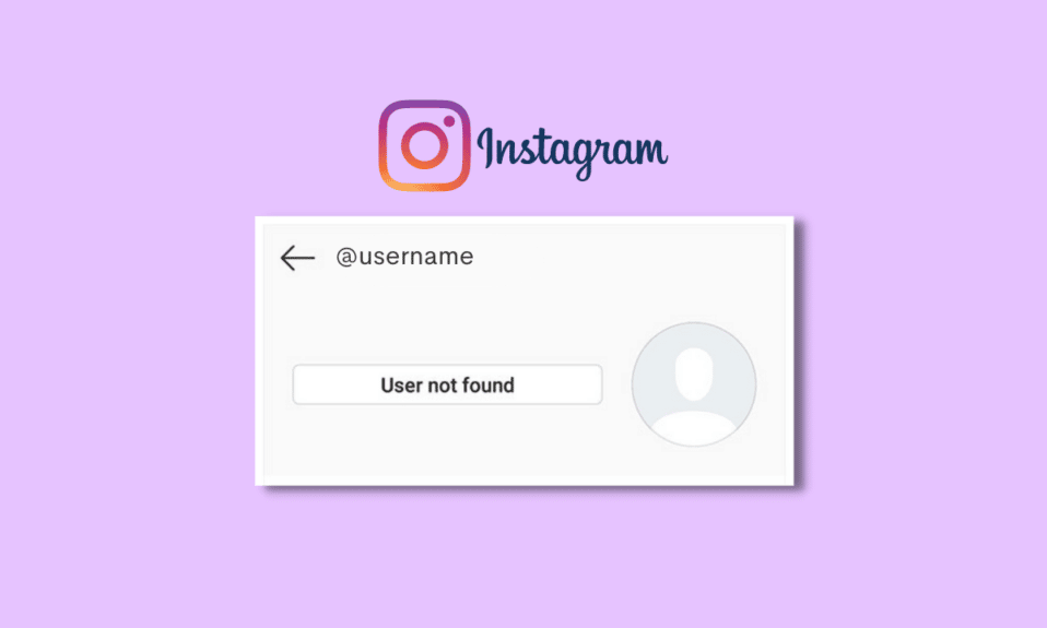 Cómo arreglar el usuario no encontrado en Instagram