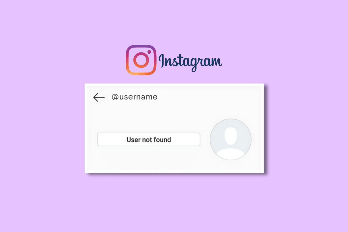 Cómo arreglar el usuario no encontrado en Instagram