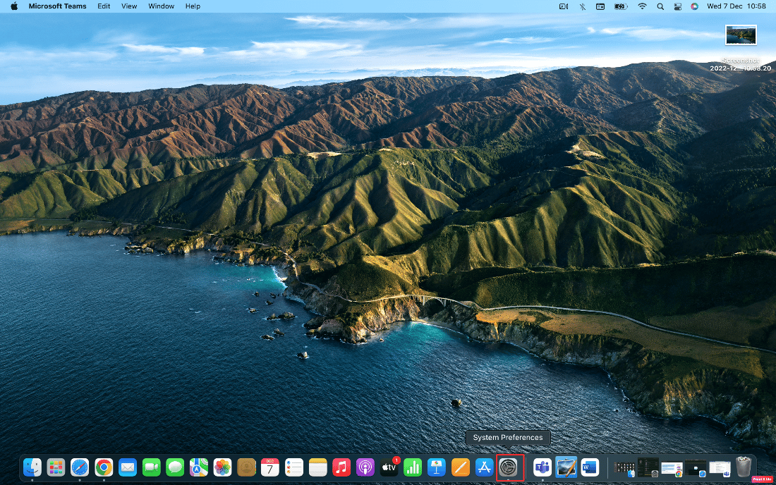 Preferencias del sistema abierto |  Cómo reparar el error de Kernel Panic Mac