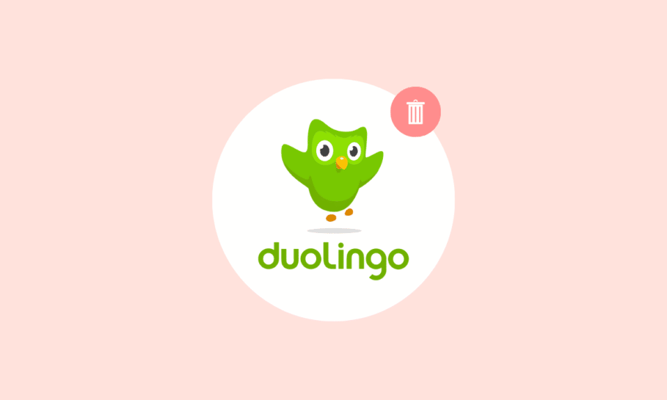 Cómo eliminar una cuenta de Duolingo