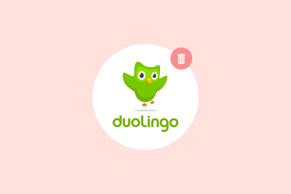 Cómo eliminar una cuenta de Duolingo
