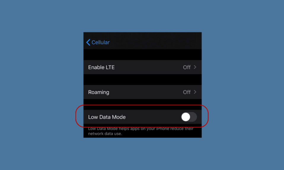 Cómo desactivar el modo de datos bajos en iPhone