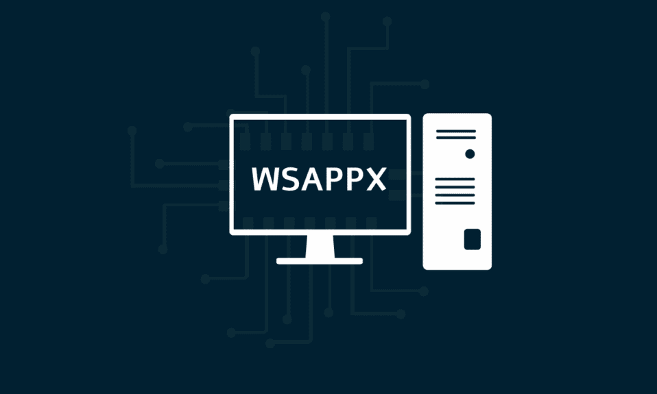 ¿Qué es WSAPPX?