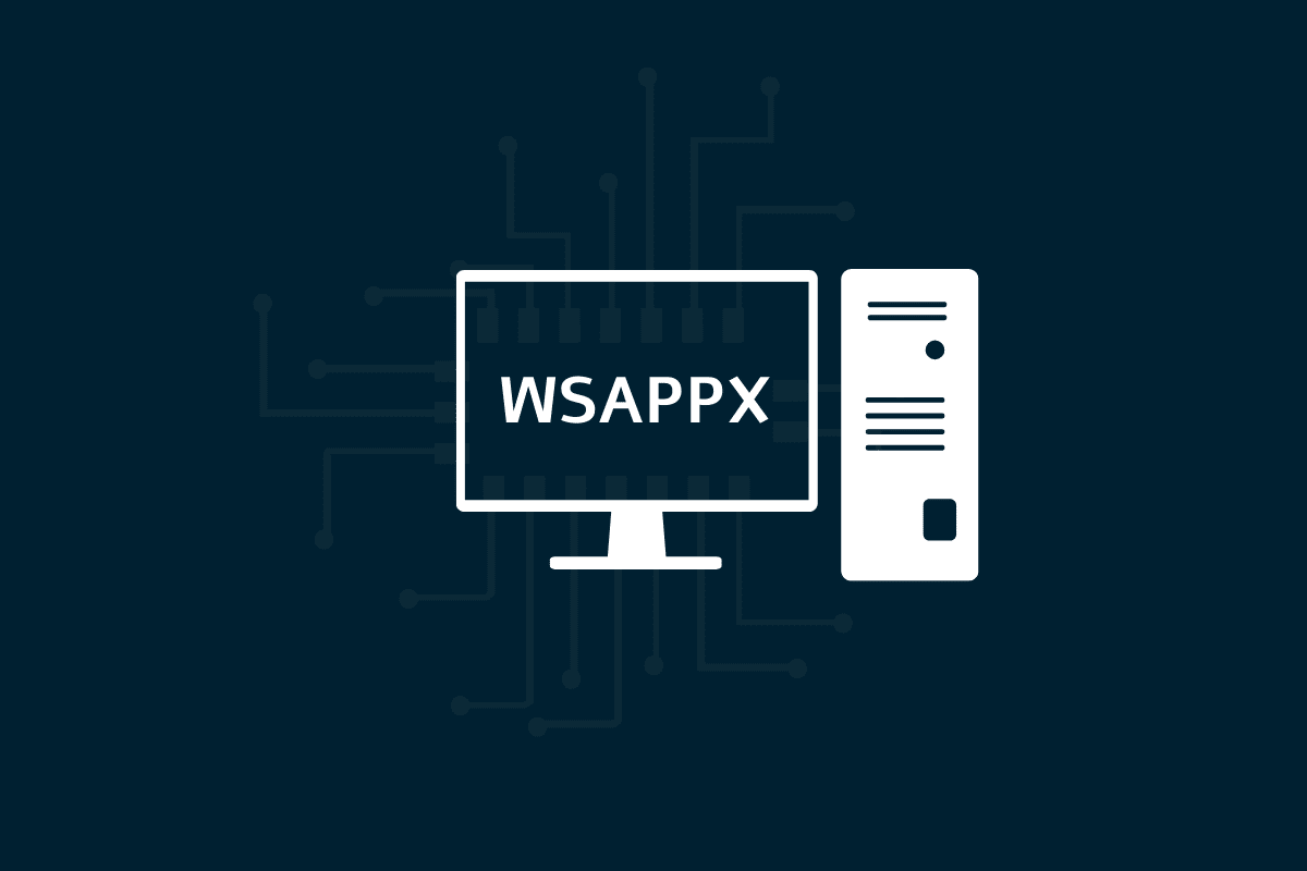 ¿Qué es WSAPPX?