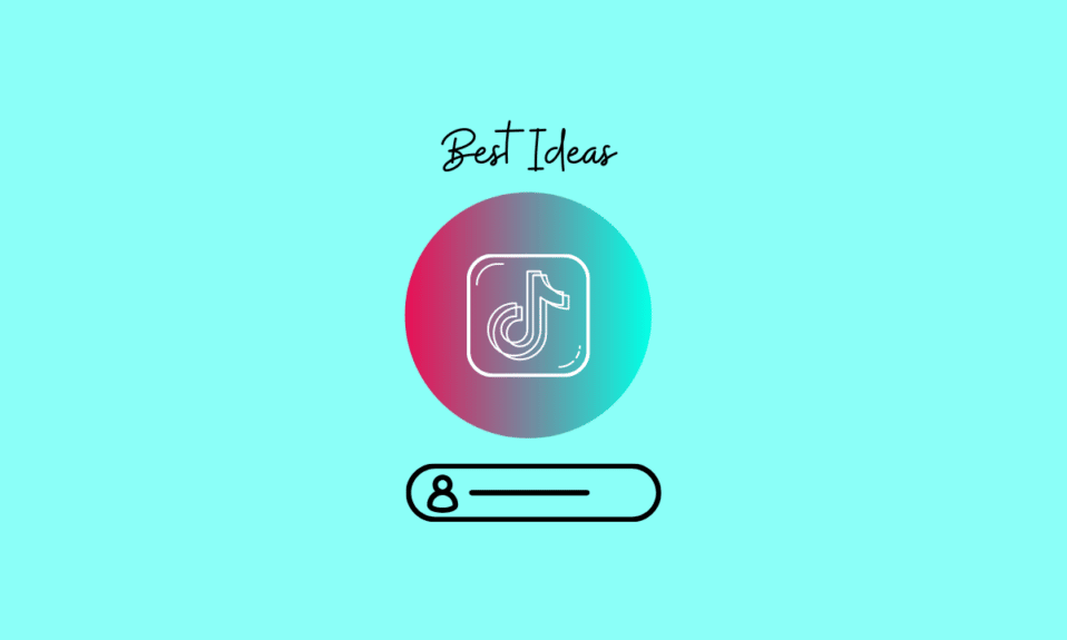 ¿Cuáles son las mejores ideas para los nombres de usuario de TikTok?