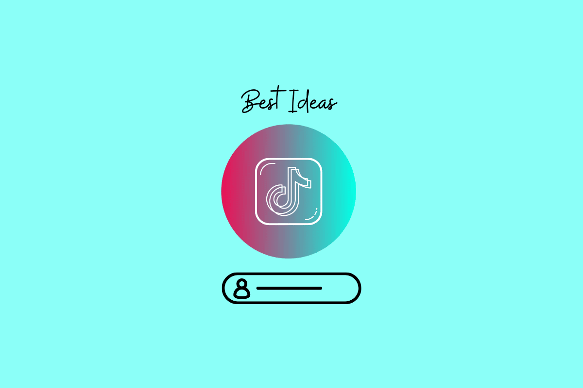 ¿Cuáles son las mejores ideas para los nombres de usuario de TikTok?