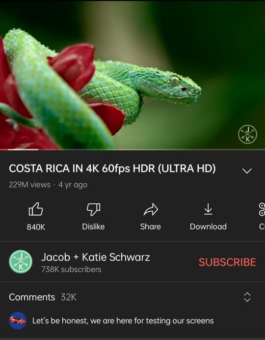 abriendo un video en YouTube |  Cómo descargar videos de YouTube en la galería móvil