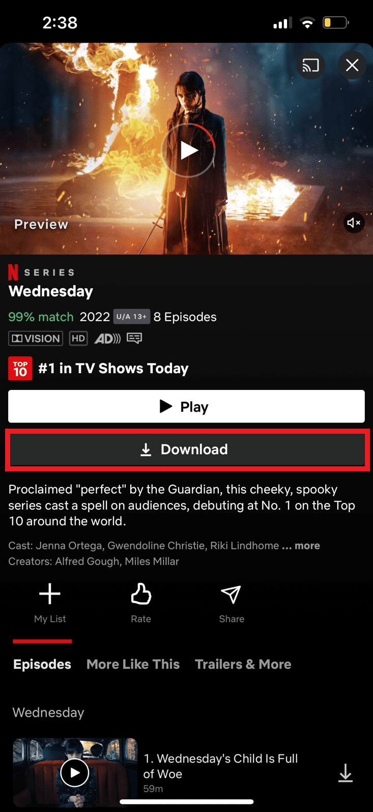 Toca la opción Descargar |  ¿Necesita Internet para Netflix en Smart TV?