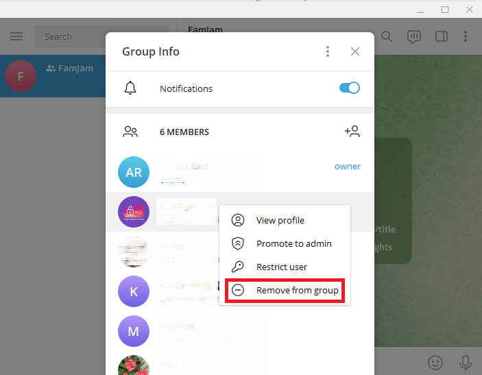 Haga clic en Eliminar del grupo.  Cómo agregar miembros en un grupo de Telegram